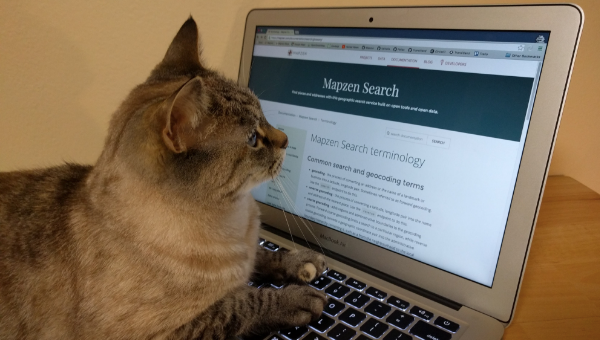 Cat reviewing Mapzen's documentation website