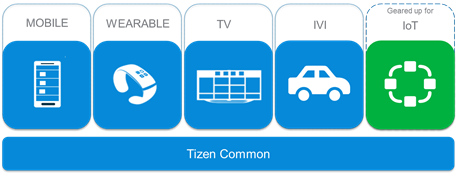 Tizen Common